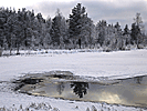 The lake in winter